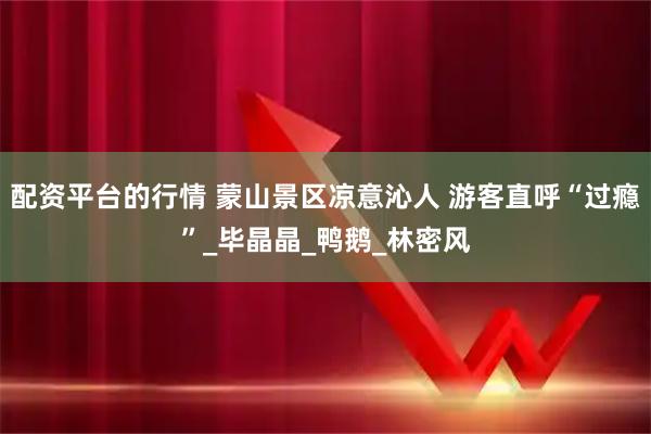 配资平台的行情 蒙山景区凉意沁人 游客直呼“过瘾”_毕晶晶_鸭鹅_林密风